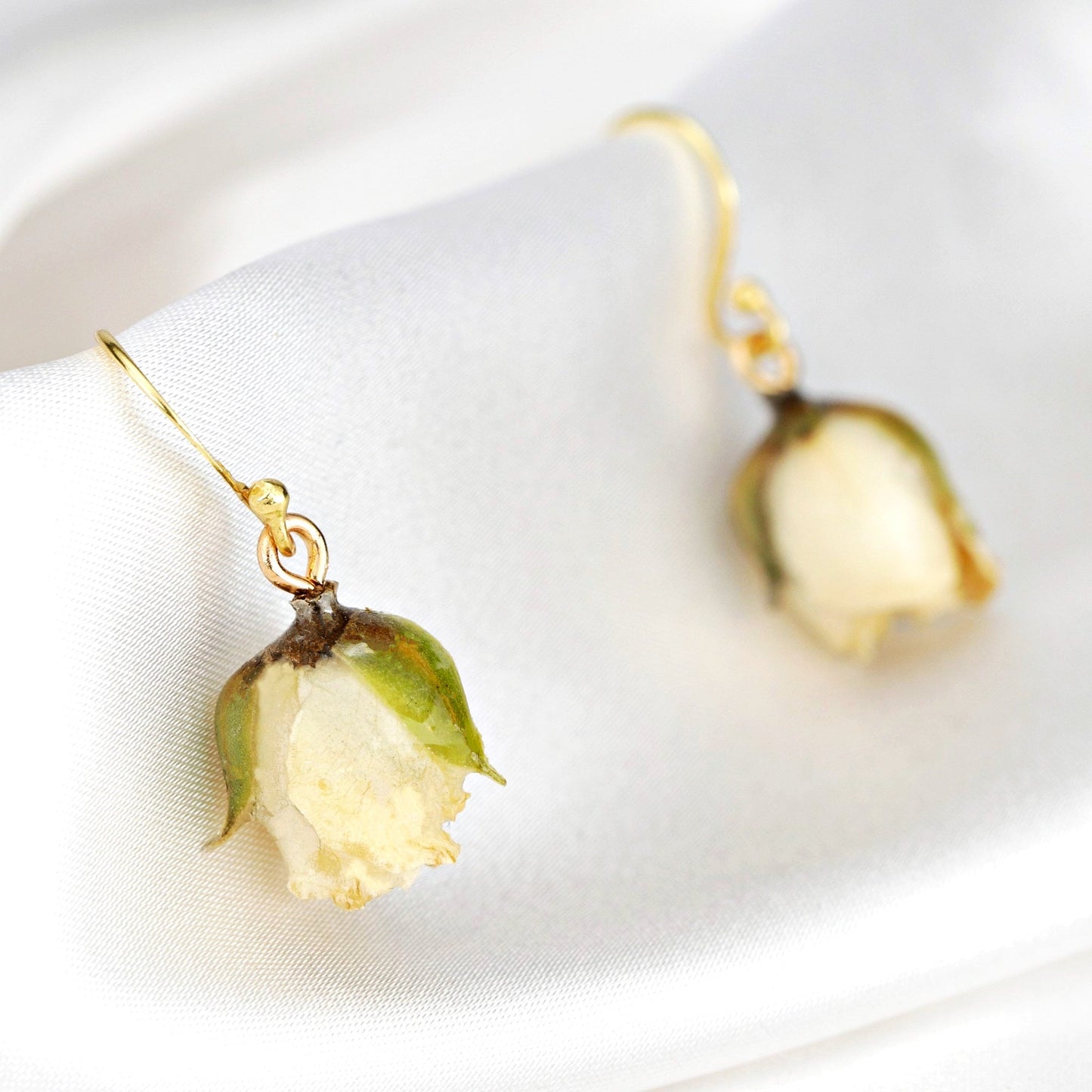 Real Small Rose Earrings - Cream White - 925 Sterling Gold Plated