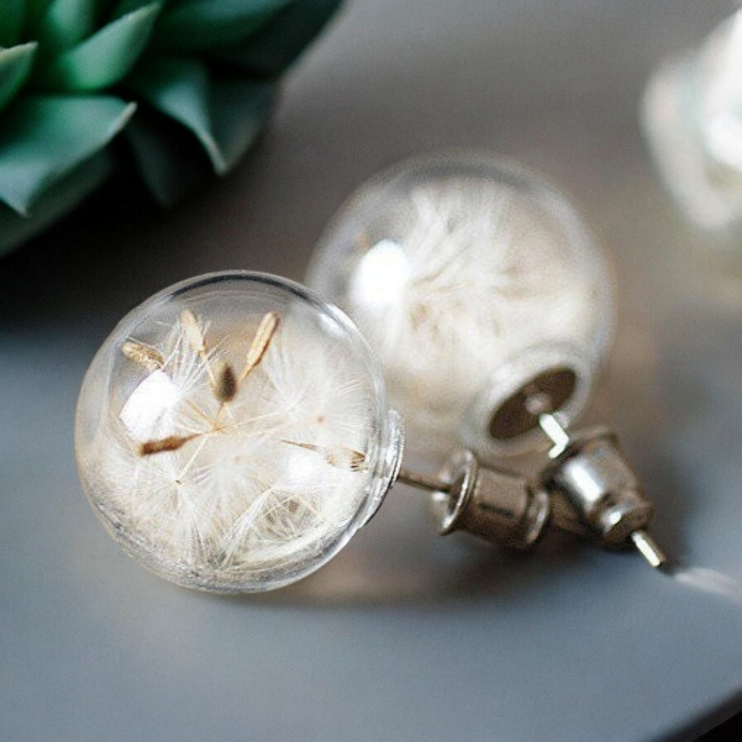 Elegant Dandelion Studs - Terrarium Botanical Nature Jewelry — 40