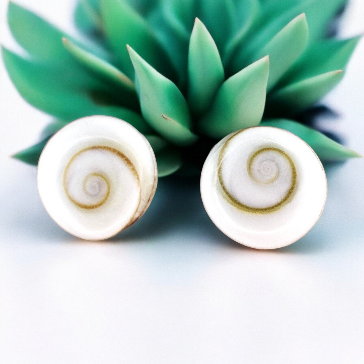 Shiva Eyes Mini Stud Earrings - 925 Sterling Silver Minimalist Shell…