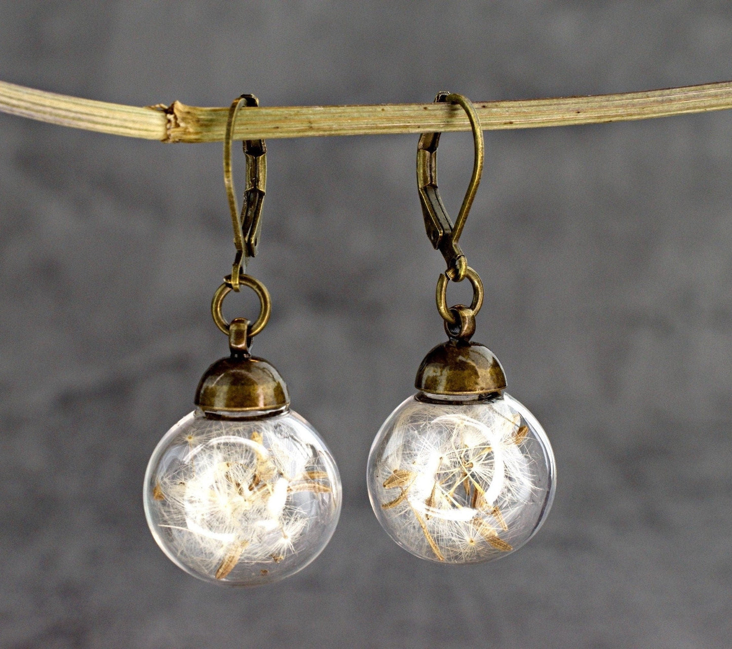 Genuine Dandelion Earrings - Bronze Earrings with real dandelion…