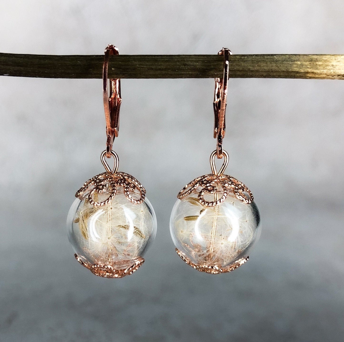 Rosegold Gold Plated Real Dandelion Earrings - Nature Jewelry — 68