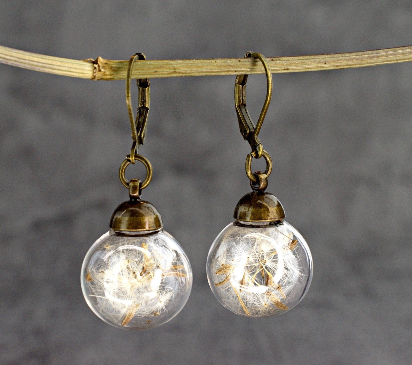 Genuine Dandelion Earrings - Bronze Earrings with real dandelion…
