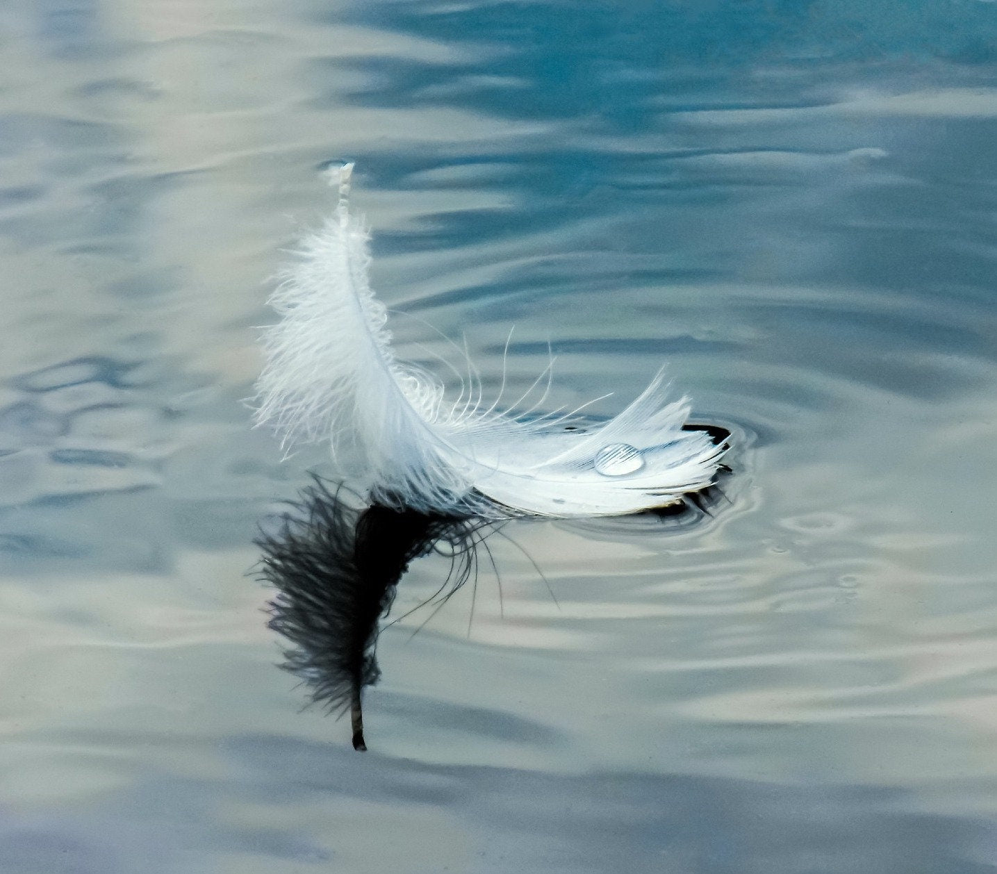 Bangle with real feathers - angel wings jewelry - Retarm-11