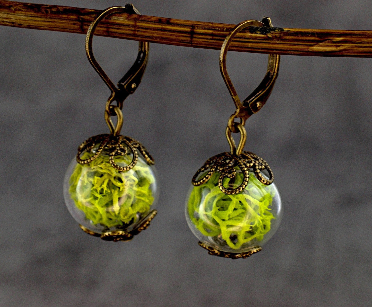 Genuine Moos Earrings - Green Islandmoos Plant Earrings — 17