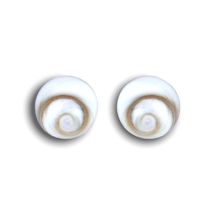 Shiva Eyes Mini Stud Earrings - 925 Sterling Silver Minimalist Shell…