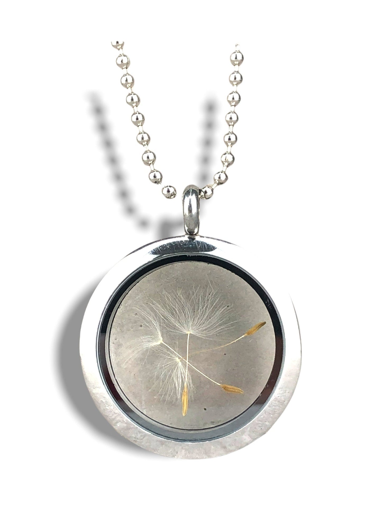 Real Dandelion Medallion Ball Chain