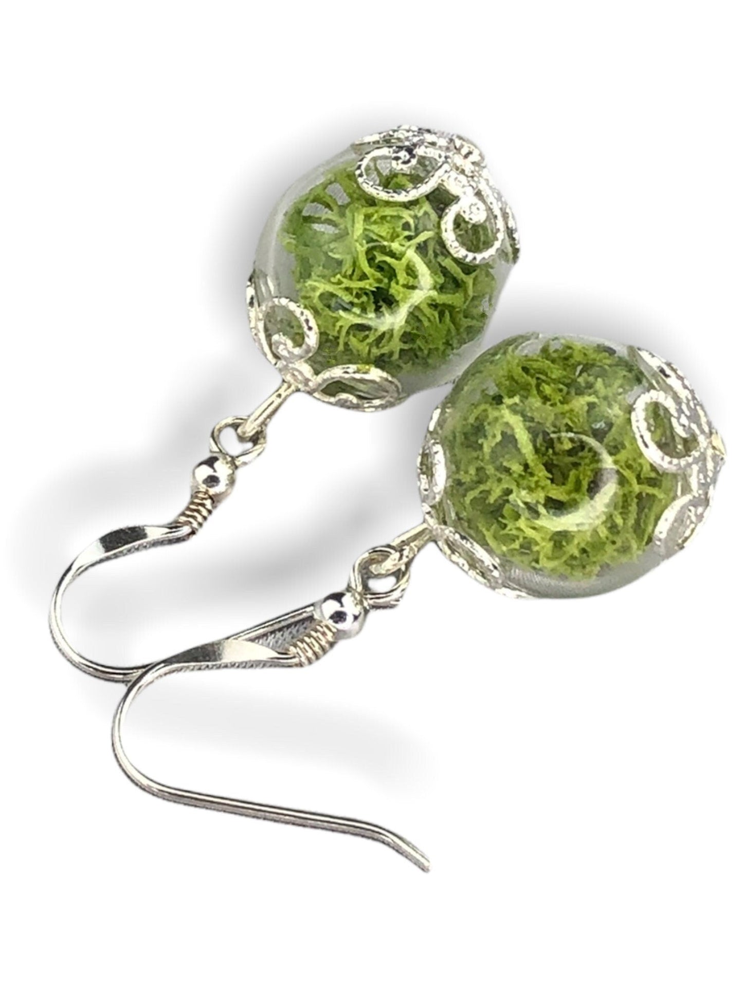 Real Moos Earrings - 925 Sterling Silver Jewelry - Botanical…