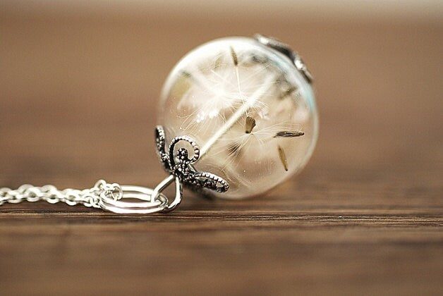Pustflumen Seeds Pendant Necklace - 925 Sterling Silver Dried…